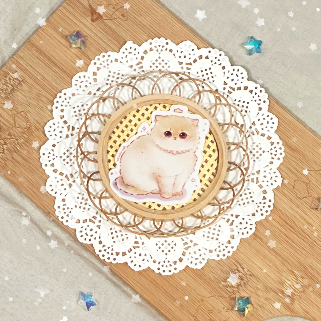 British Shorthair Kitty