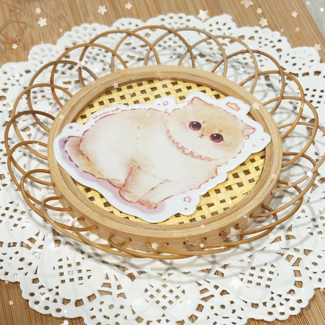 British Shorthair Kitty